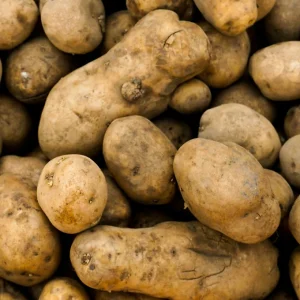 Bio-Erdäpfel aus dem Waldviertel (festkochend)